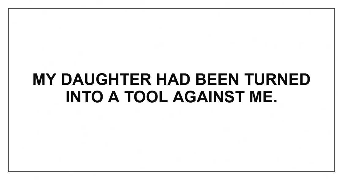 My daughter had been turned into a tool against me.