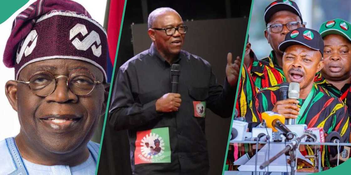 2027 presidency: NLC accused of working with Tinubu’s govt against Peter Obi
