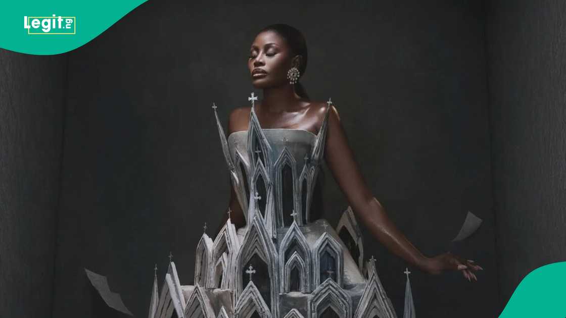 Nana Akua Addo'as daughter allegedly refuses to follow mother after court ruling Nana Akua Addo'as daughter allegedly refuses to follow mother after court ruling
