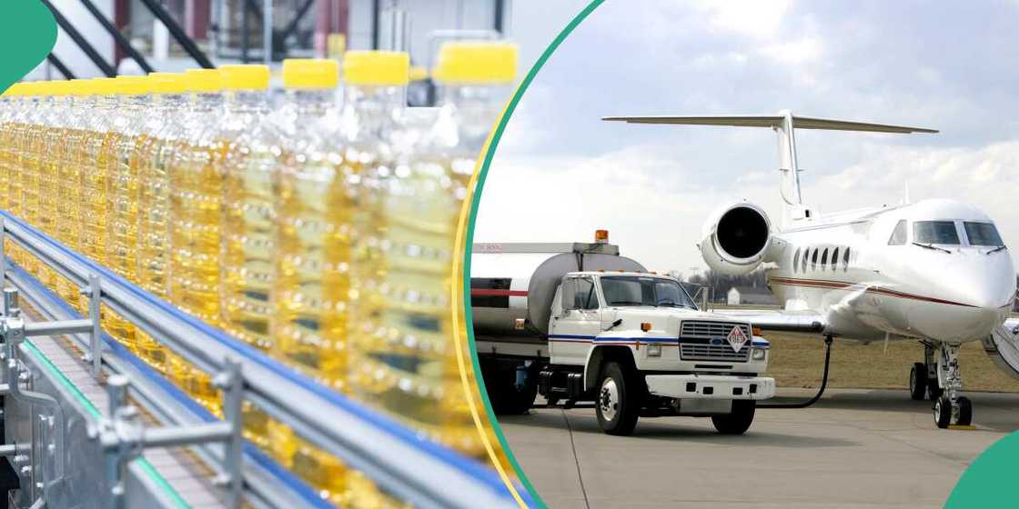 Cooking oil, Palm Oil, Aviation Fuel