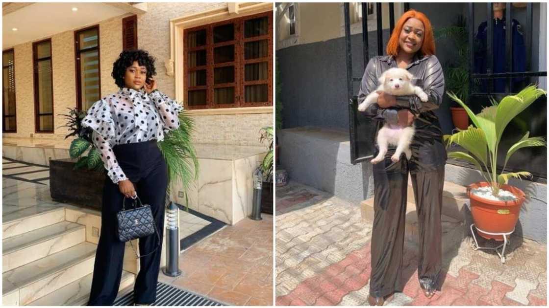Popular actress rates her dogs over some of her friends Popular actress rates her dogs over some of her friends
