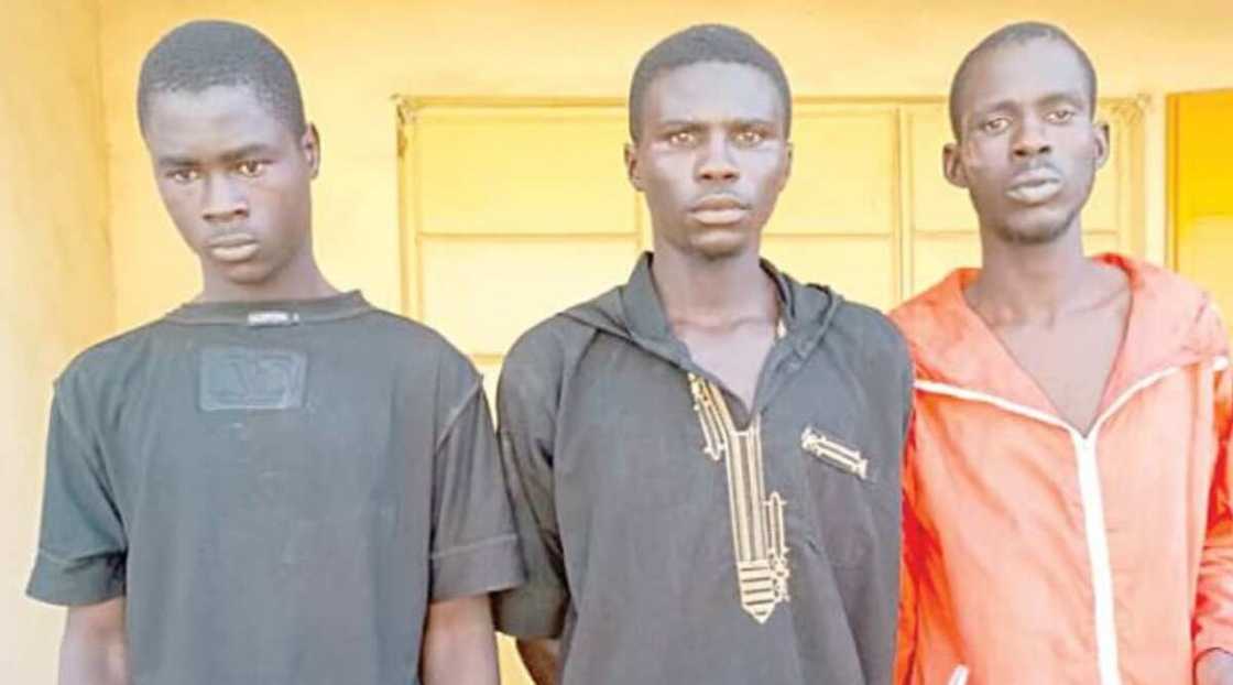 'Yan sanda sun kama 'yan fashi da makami a Bauchi 'Yan sanda sun kama 'yan fashi da makami a Bauchi