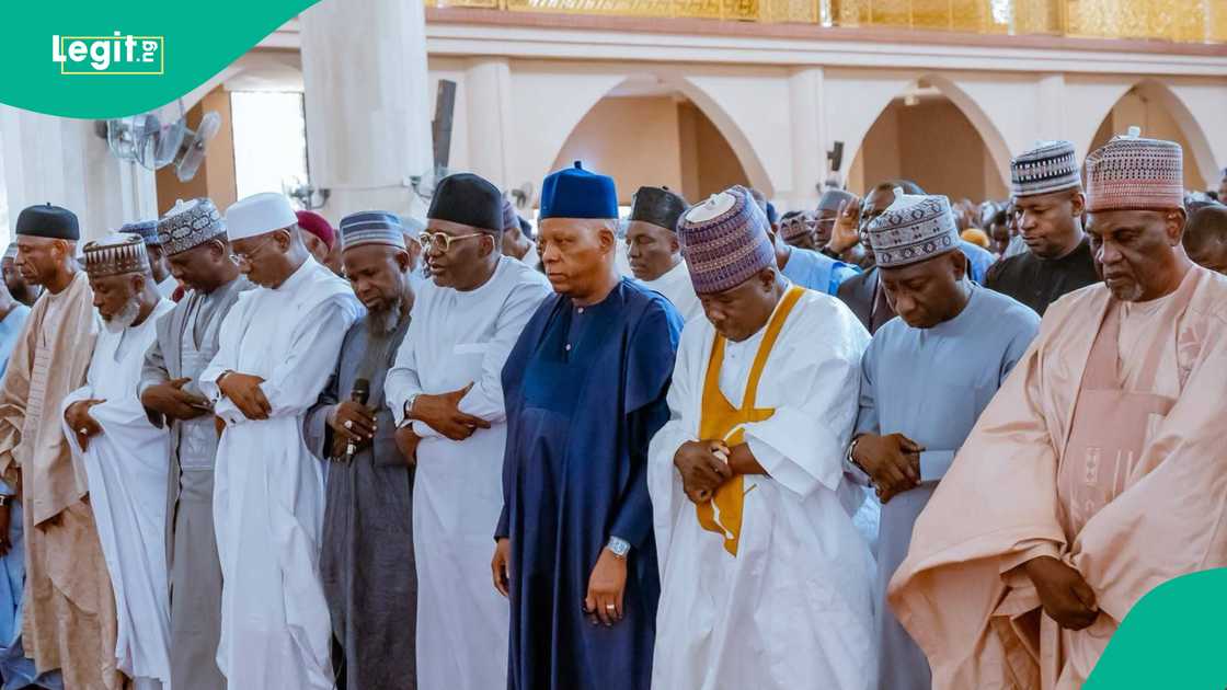 Shettima. Shettima.