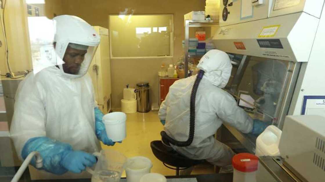 Ci gaba: Masana a Najeriya sun kirkiri allurar rigakafin COVID-19, saura gwaji Ci gaba: Masana a Najeriya sun kirkiri allurar rigakafin COVID-19, saura gwaji