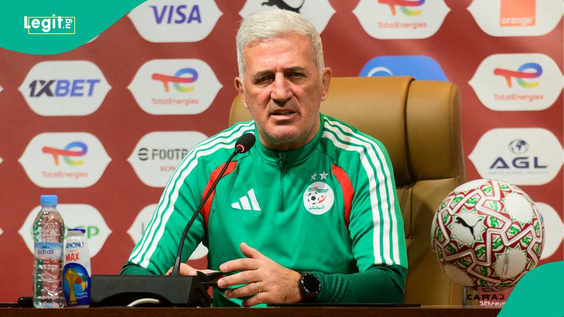 Vladimir Petkovic, Desert Foxes, Algeria, Super Eagles, Nigeria, AFCON 2025, Morocco. Vladimir Petkovic, Desert Foxes, Algeria, Super Eagles, Nigeria, AFCON 2025, Morocco.
