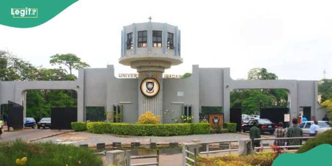 Protest rock University of Ibadan over fee hike Protest rock University of Ibadan over fee hike