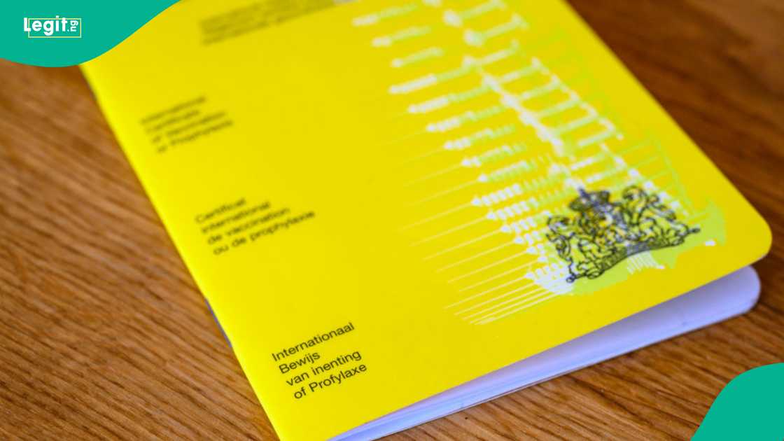 Yellow fever vaccination remains recommended as Benin stops checking vaccine records at all border crossings and ports of entry. Yellow fever vaccination remains recommended as Benin stops checking vaccine records at all border crossings and ports of entry.