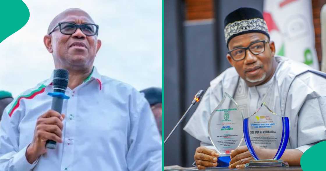 Peter Obi meets Bauchi governor Bala Mohammed behind closed doors ahead of 2027 election