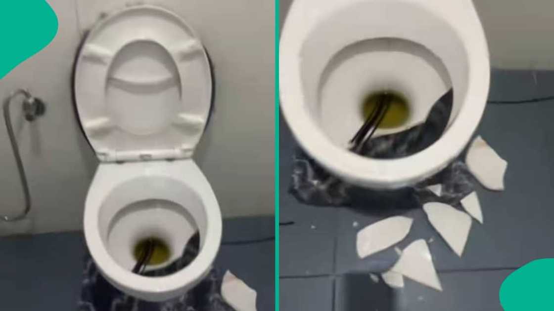 Lady’s cinema outing with siblings attracts attention on social media