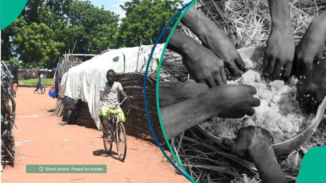 Who really owns Nigeria’s food? Lekan Olayiwola calls out export obsession and hunger-by-design. Who really owns Nigeria’s food? Lekan Olayiwola calls out export obsession and hunger-by-design.