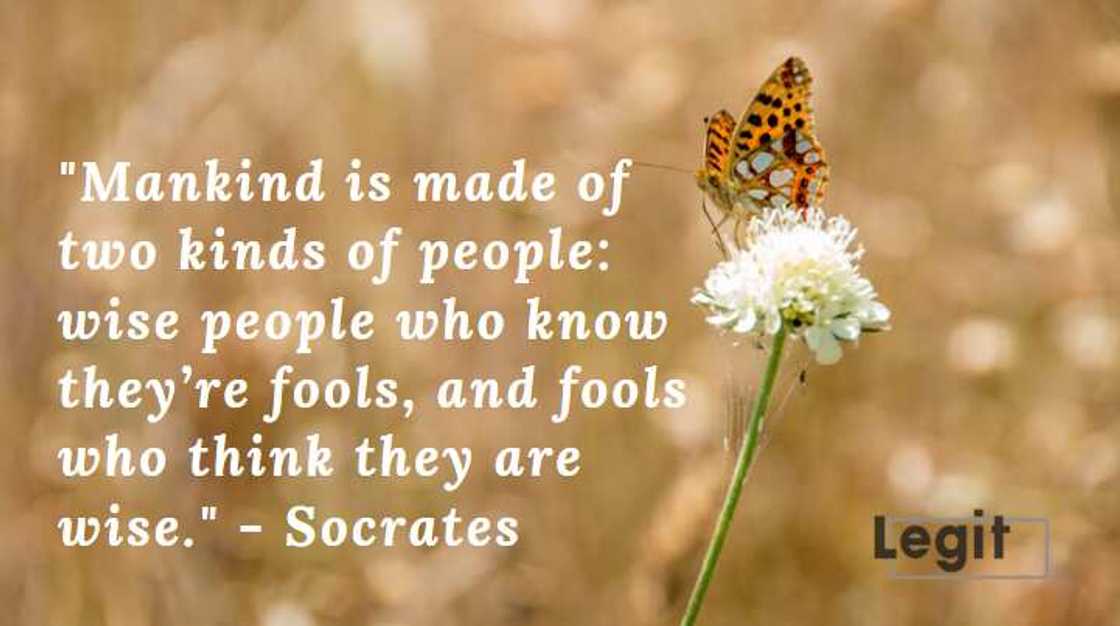 socrates quotes on life