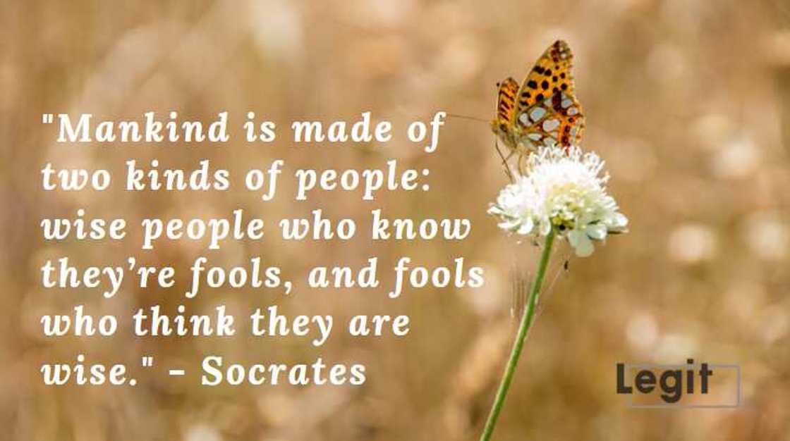 socrates quotes on life socrates quotes on life