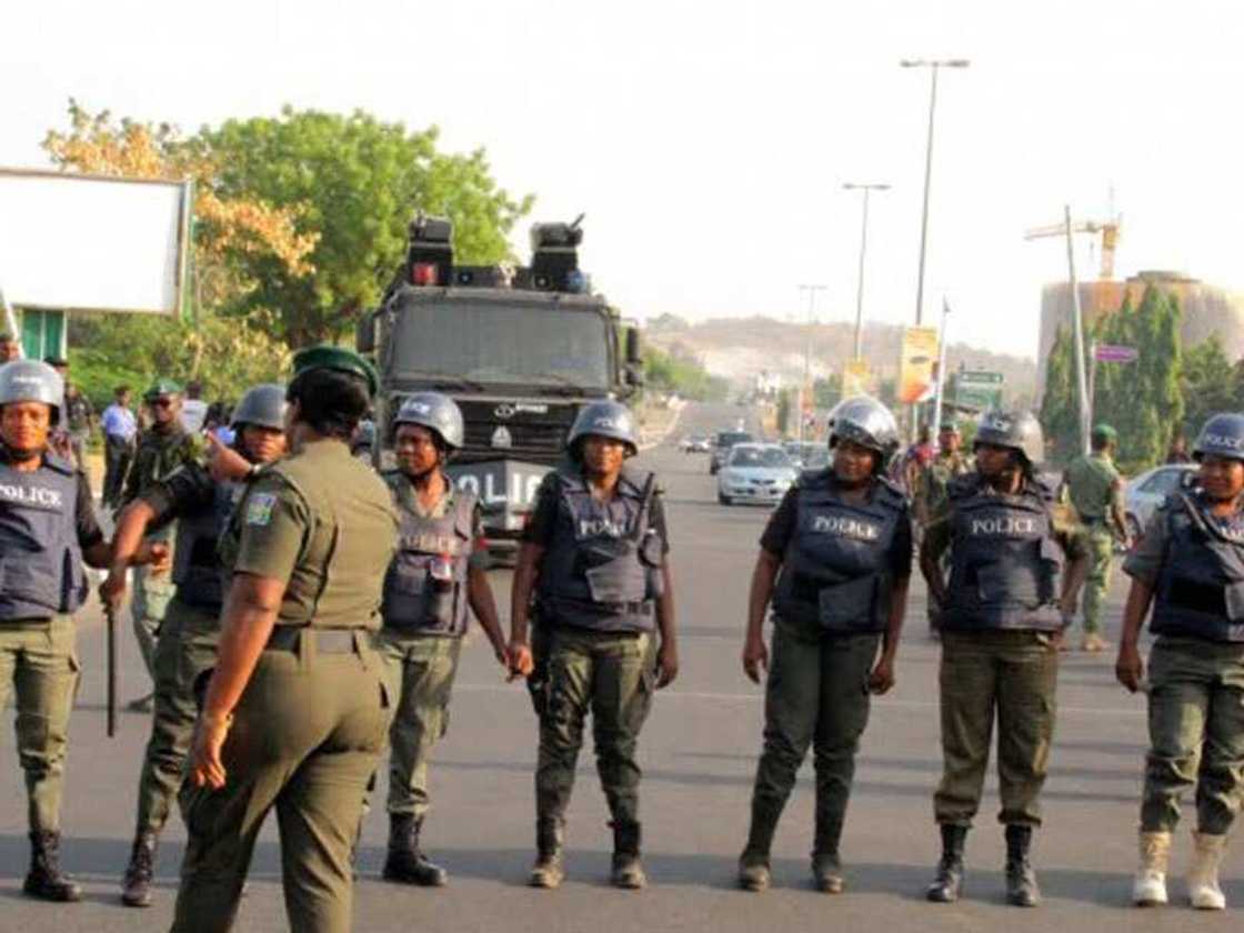 Da dumi-dumi: An kashe dan bindiga yana yunkurin sace wani dan kasar waje a Kaduna