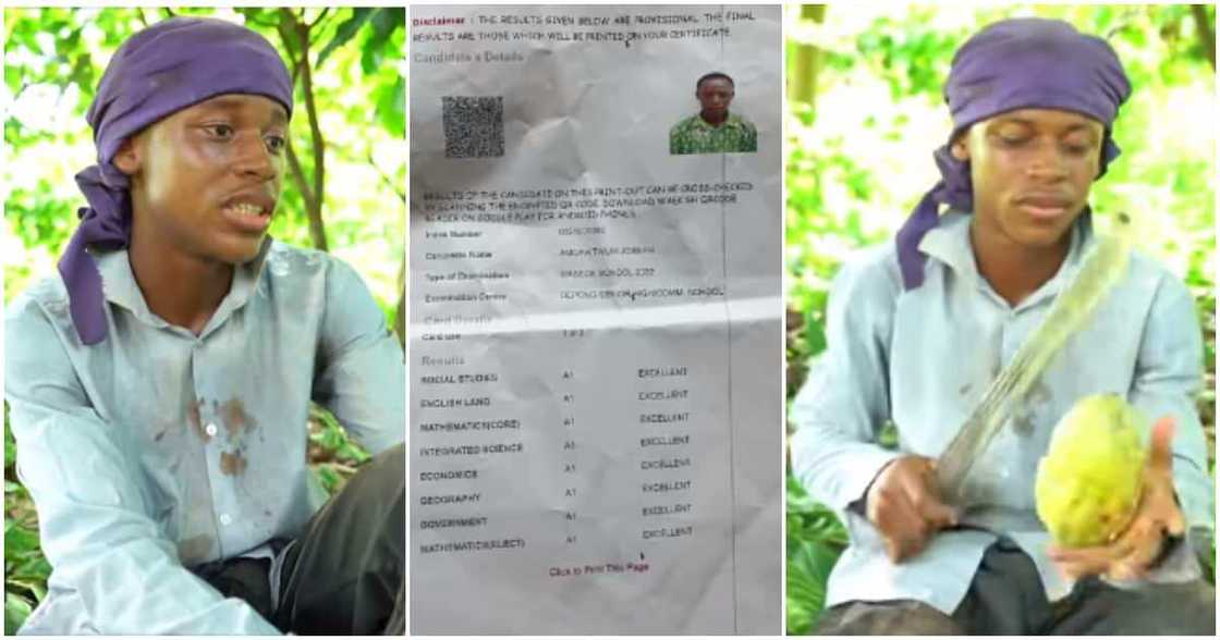 Needy cocoa farmer's son bags 8As in WASSCE. Needy cocoa farmer's son bags 8As in WASSCE.