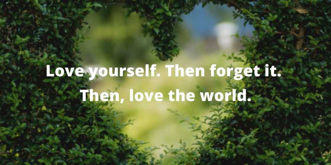 Mary Oliver love quotes Mary Oliver love quotes