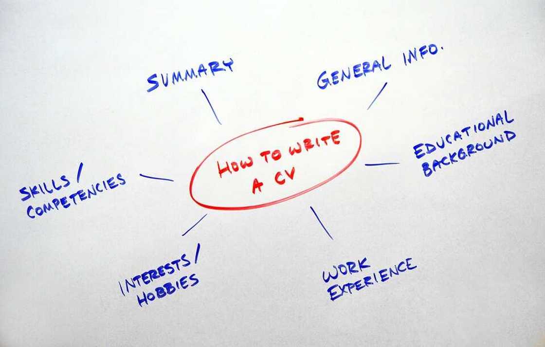 Personal details in resume: what to include Personal details in resume: what to include