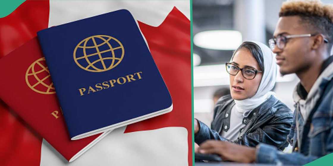 Why your Canadian study visa may not be approved Why your Canadian study visa may not be approved