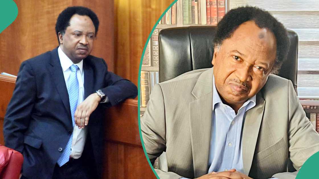 Shehu Sani speaks on monthly earning of serving senators in 8th Assembly.