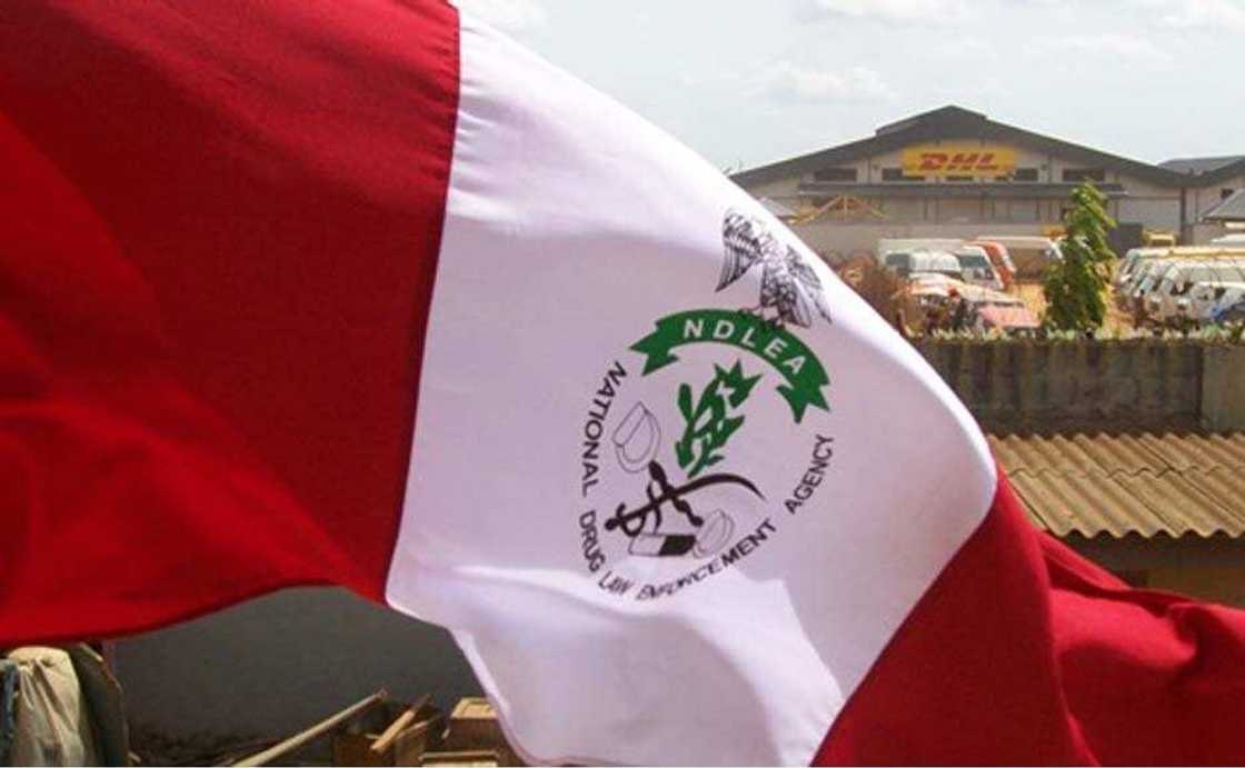 NDLEA flag NDLEA flag