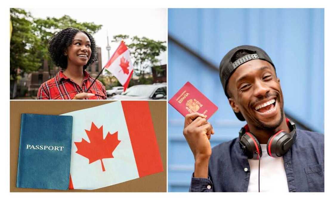 Canada, Visa Start-up Programme, Immigrants Canada, Visa Start-up Programme, Immigrants