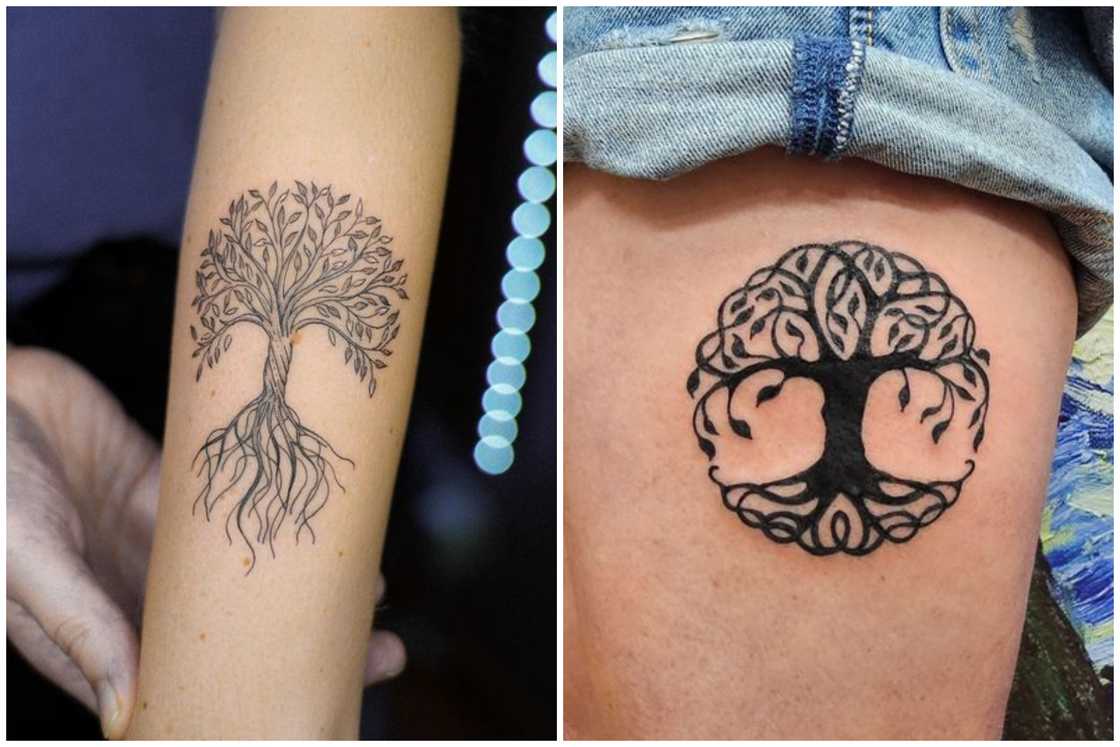 Tree of life tattoo