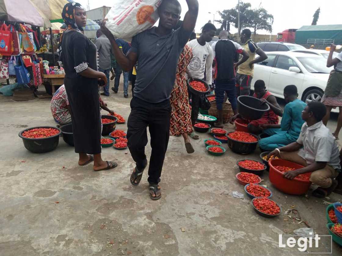 Pepper sellers display their items at affordable prices. Pepper sellers display their items at affordable prices.