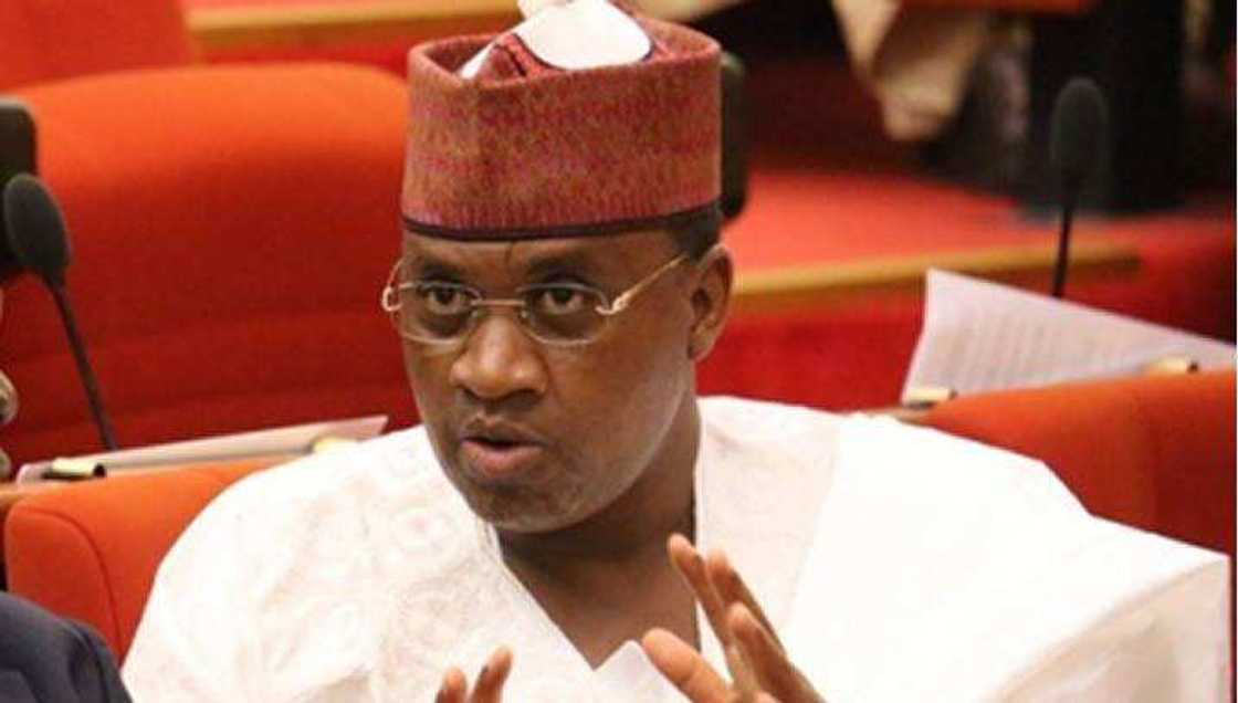 Matawalle’s kinsmen dump him for Senator Marafa Matawalle’s kinsmen dump him for Senator Marafa