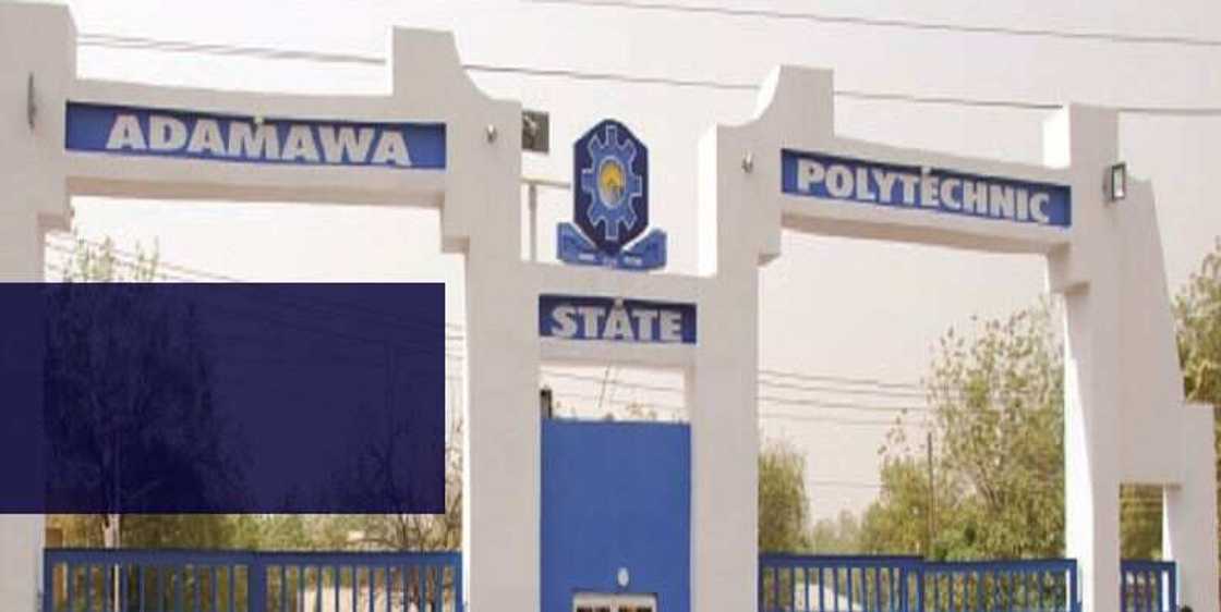 Kwalejin kimiyya da fasaha na Adamawa za ta fara karatun digiri, in ji Rector