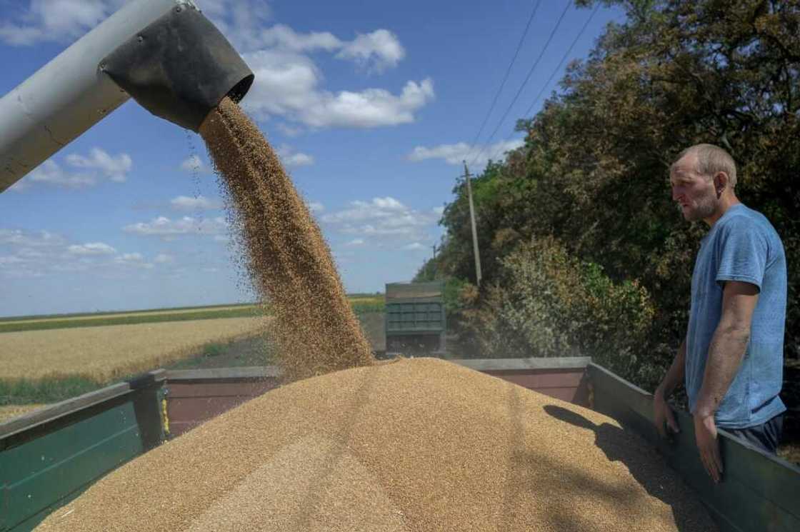 Up to 25 million tonnes of wheat and other grain have been blocked in Ukrainian ports Up to 25 million tonnes of wheat and other grain have been blocked in Ukrainian ports