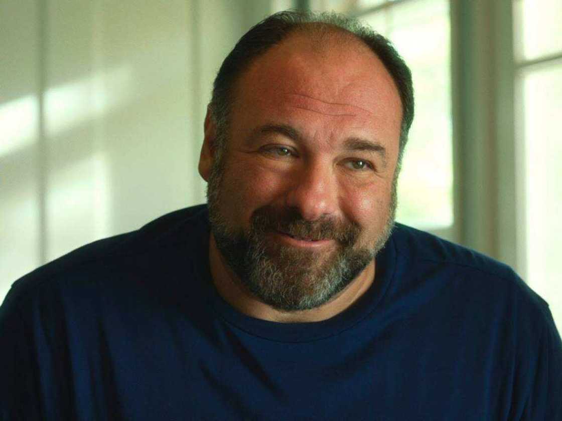 cast of sopranos cast of sopranos