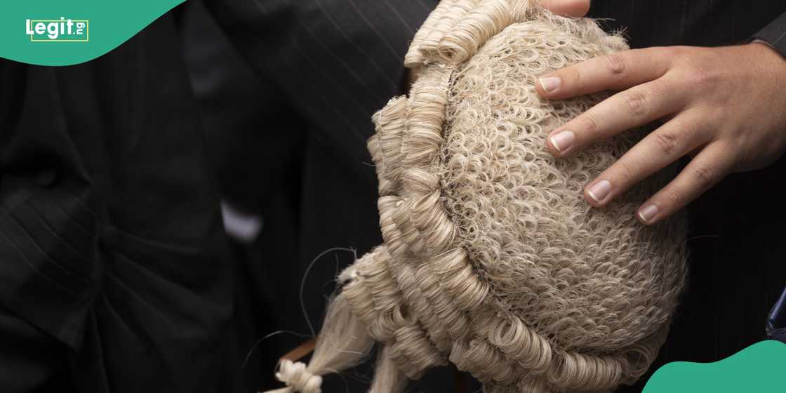 Lawyer wig Lawyer wig