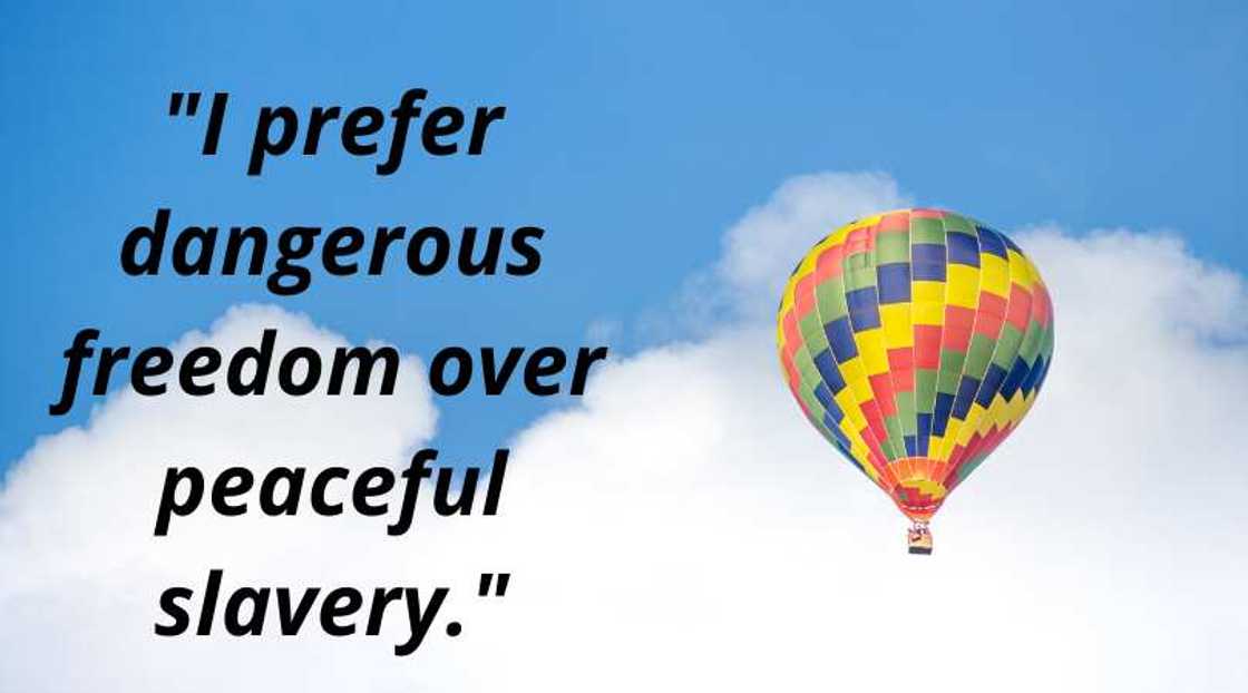 Thomas Jefferson quotes on freedom Thomas Jefferson quotes on freedom