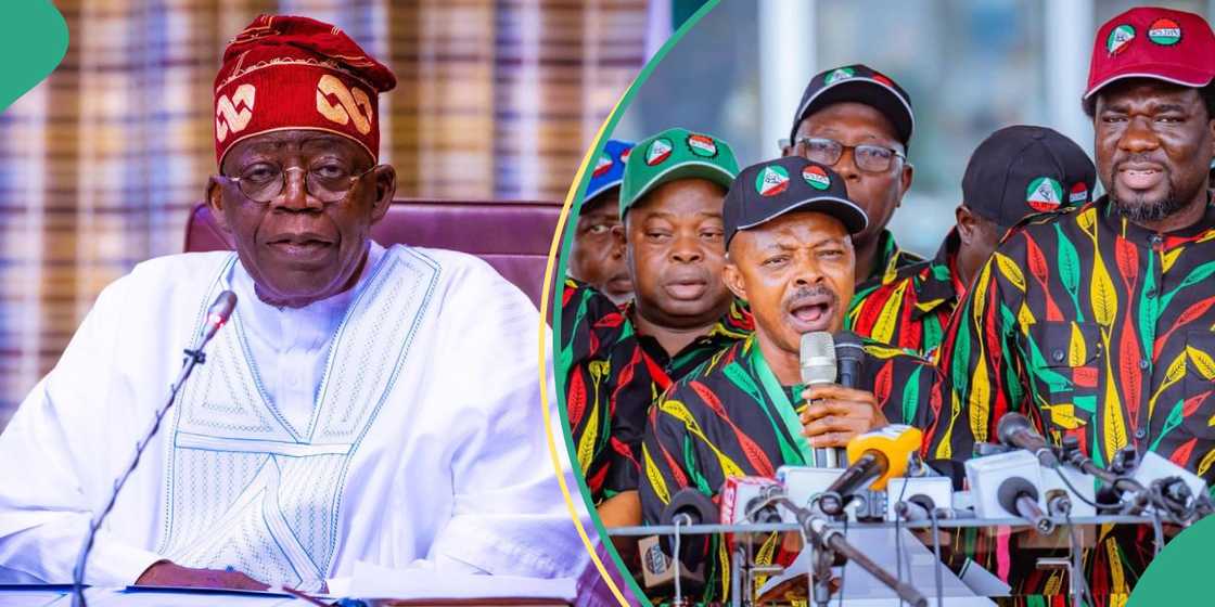 APC chieftain shares insight into why Tinubu approved N70,000 minimum wage APC chieftain shares insight into why Tinubu approved N70,000 minimum wage