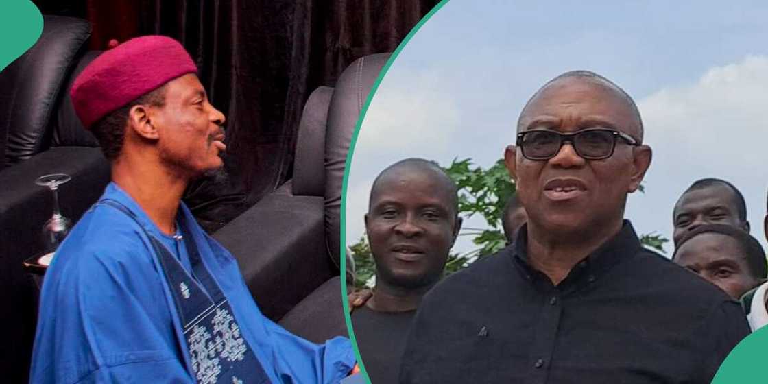 Peter Obi/Peter Obi news/Peter Obi news today/Peter Obi news now Peter Obi/Peter Obi news/Peter Obi news today/Peter Obi news now