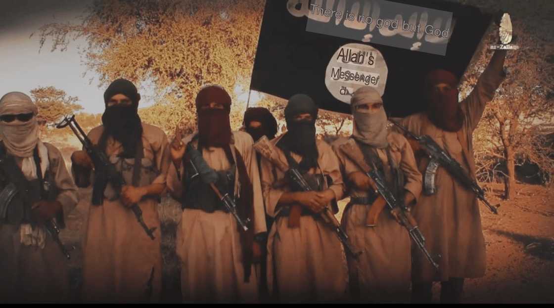 Kwalara ta kashe mayakan ISWAP a Borno Kwalara ta kashe mayakan ISWAP a Borno