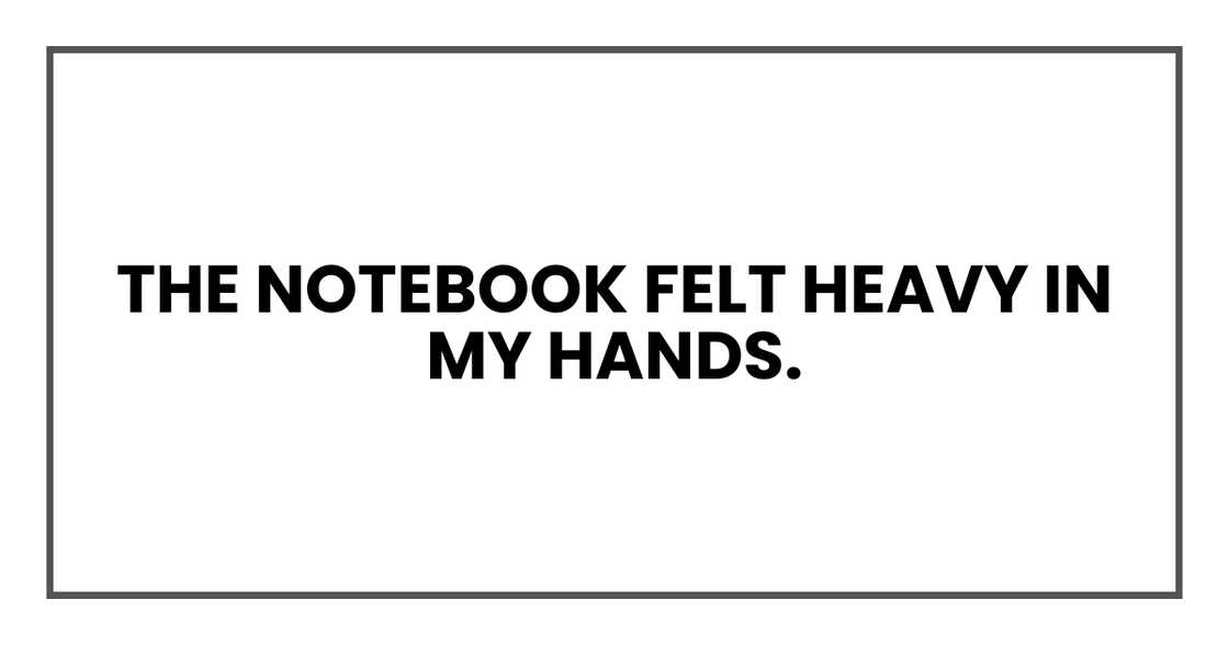 The notebook felt heavy in my hands.