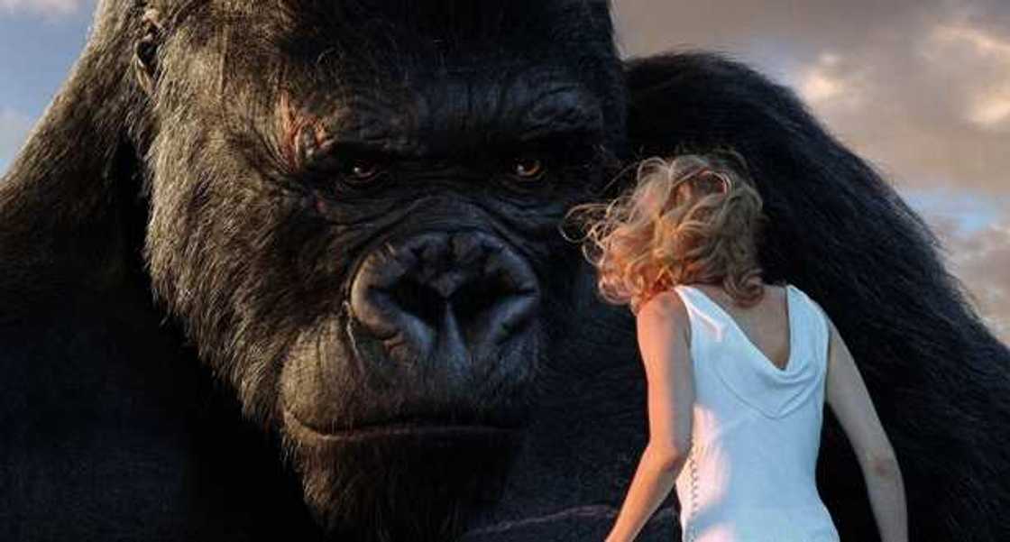 fantasy romance movies fantasy romance movies