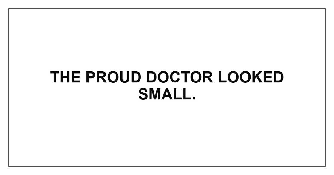 The proud doctor looked small. The proud doctor looked small.