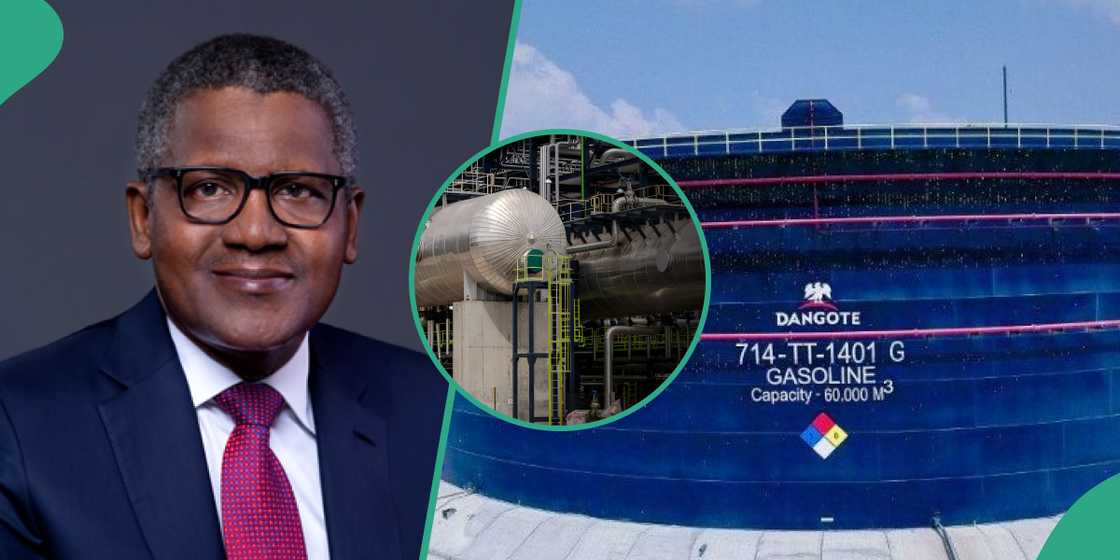 Expert Explains Why Dangote Cannot Crash Fuel Price Expert Explains Why Dangote Cannot Crash Fuel Price