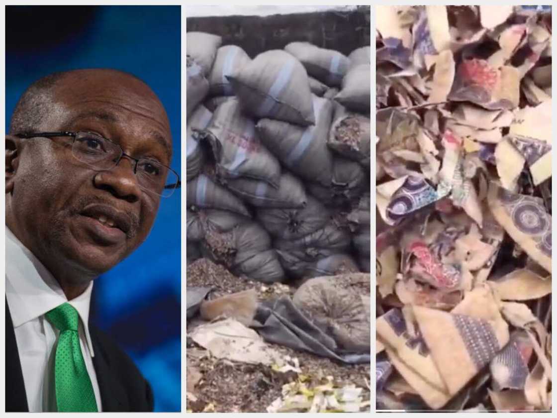 Gwamnan CBN da nikakkun kudi Gwamnan CBN da nikakkun kudi