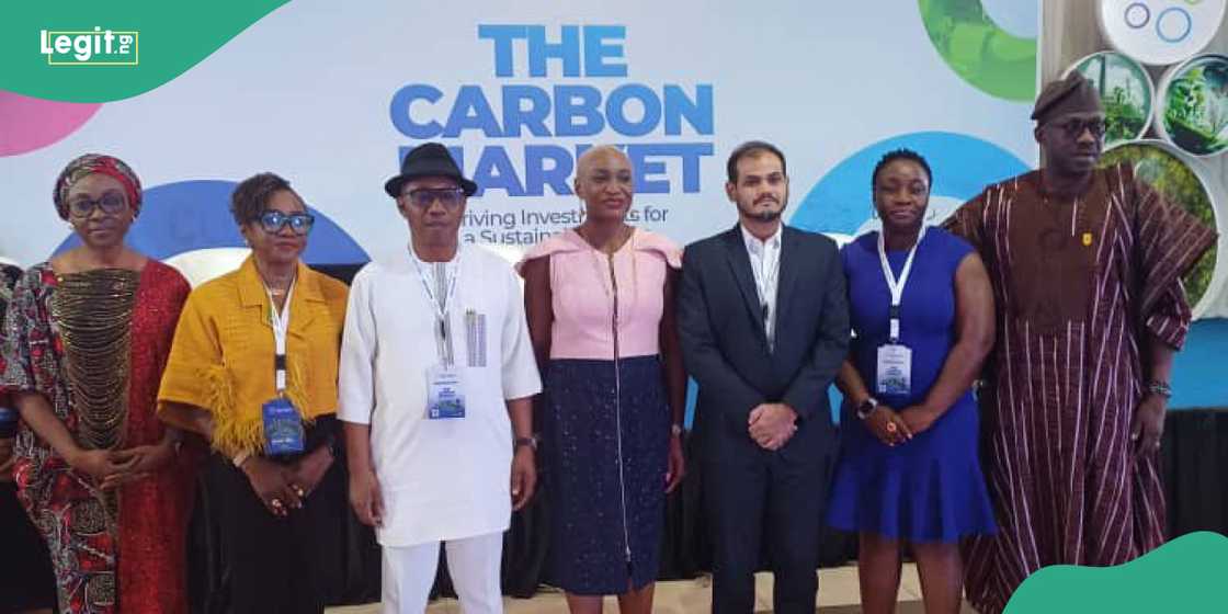 Private sector urged to harness sustainable carbon market investment for greener and inclusive Africa