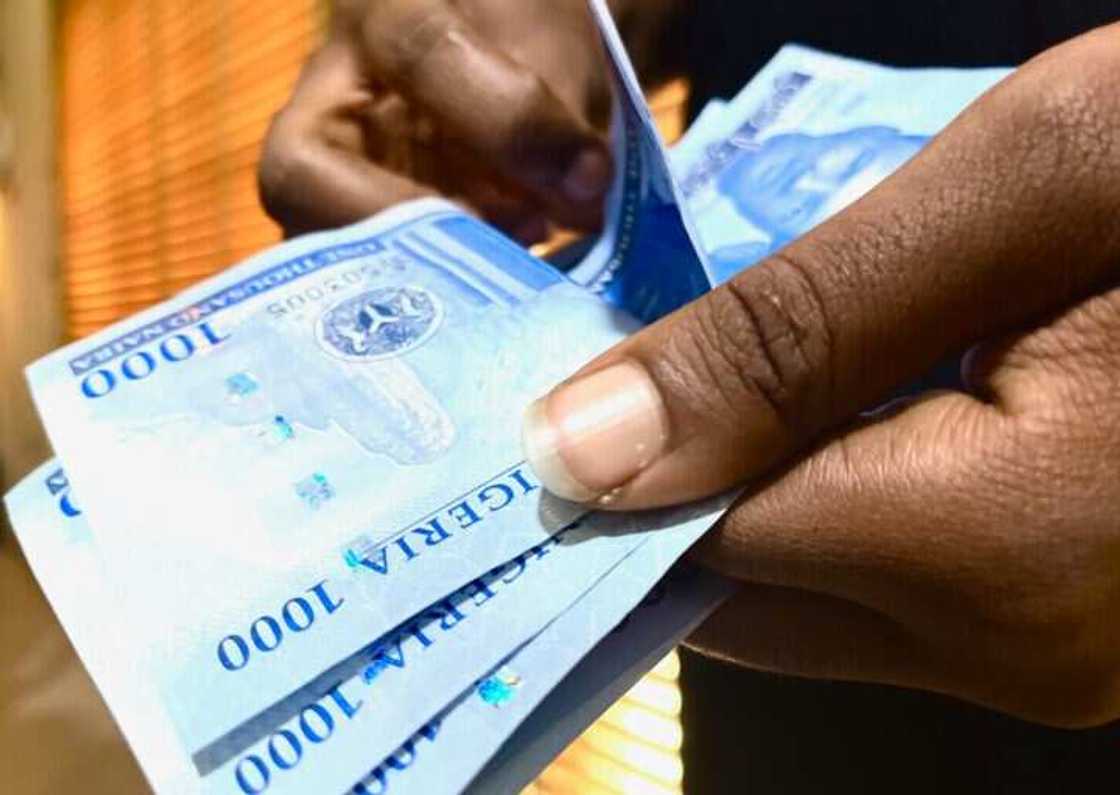 Sabbin naira. Sabbin naira.