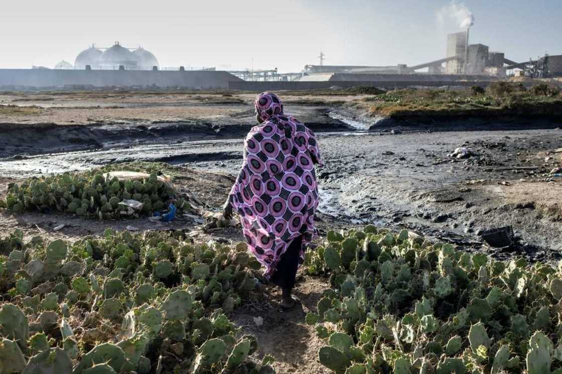 330 major firms want measures to force businesses destroying the natural world 330 major firms want measures to force businesses destroying the natural world
