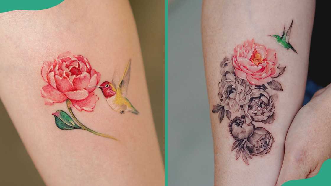 Hummingbird and a lotus flower design