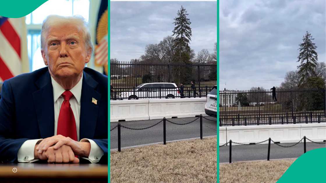 Man arrested for climbing the fence of US White House.