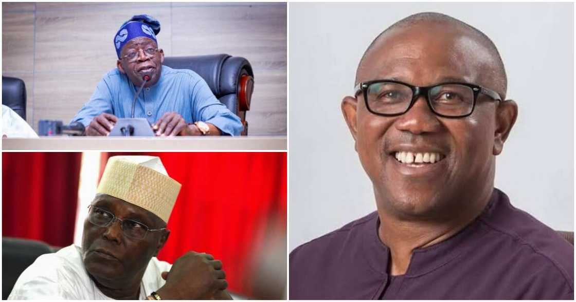 Atiku Abubakar, Bola Tinubu, PDP, APC, 2023 elections, Peter Obi, Labour Party, Abuja, the Association of Nigerian Authors Atiku Abubakar, Bola Tinubu, PDP, APC, 2023 elections, Peter Obi, Labour Party, Abuja, the Association of Nigerian Authors