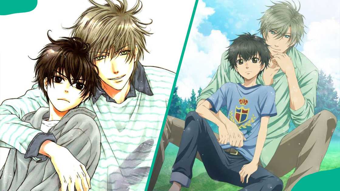 Super Lovers' characters, Haru and Ren Hard Super Lovers' characters, Haru and Ren Hard