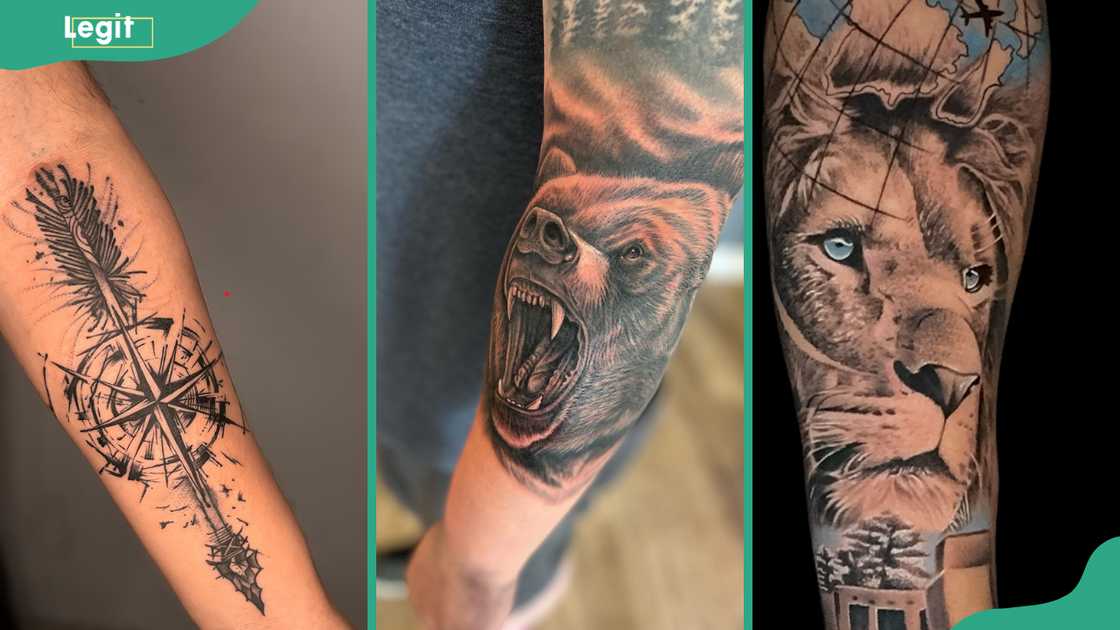 Compass (L), Bear (C) and Lion (R) tattoos Compass (L), Bear (C) and Lion (R) tattoos
