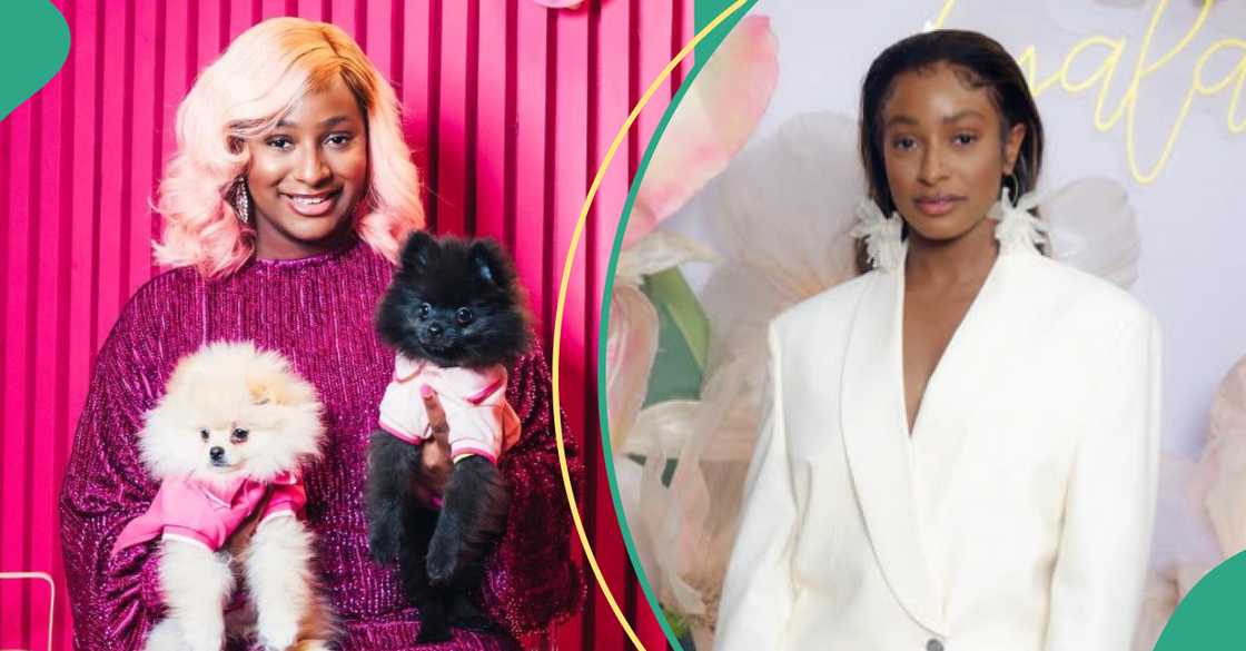 DJ Cuppy shares photos of her dogs in luxury accessories