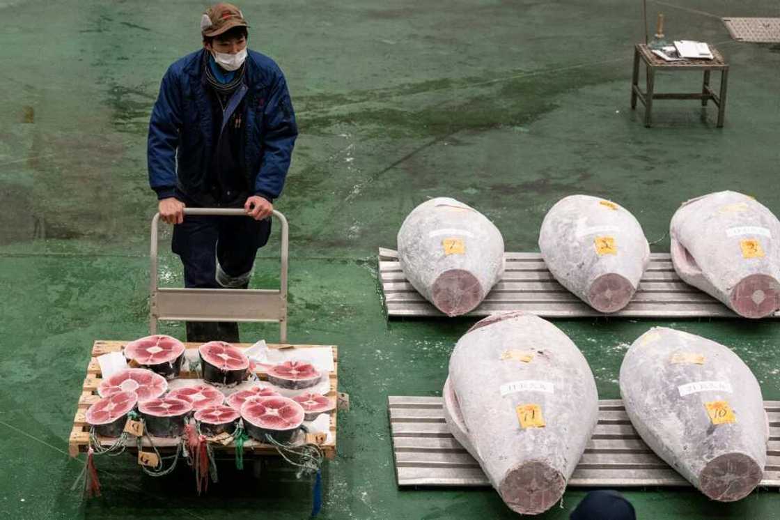 The top-selling tuna at Tokyo's new year auction often sells for eye-popping sums The top-selling tuna at Tokyo's new year auction often sells for eye-popping sums